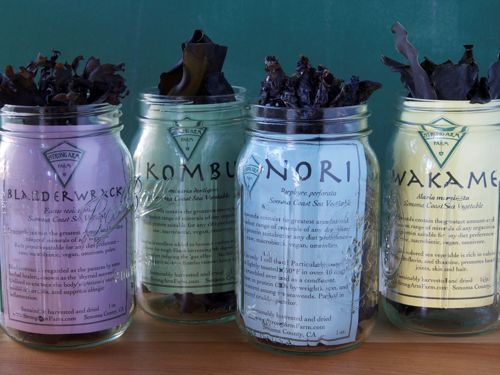 Picture of The Sonoma Coast- Wakame Seaweed-