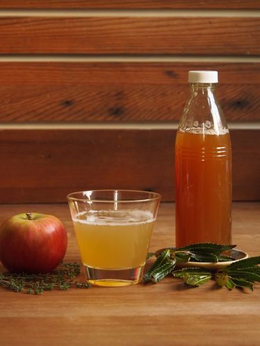 Picture of "Healthy Lungs" Apple Herb Shrub