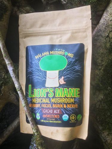 Picture of Malama Lion's Mane hot cacao drink mix