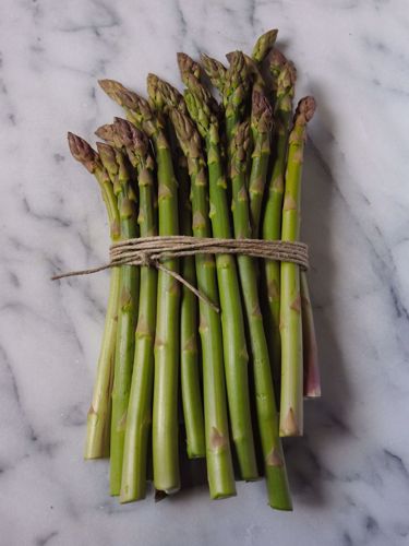 Picture of Pickled Asparagus with Tarragon (Lactofermented) -- 16 oz