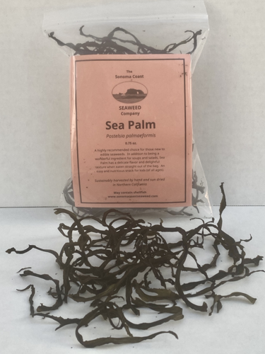 Picture of The Sonoma Coast-Sea Palm Seaweed-